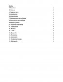 Monografia Científica