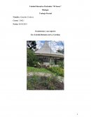 Trabajo parcial de biologia. Ecosistemas y sus especies