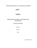 QUIMICA Diferencias estructurales y funcionales de las biomoléculas