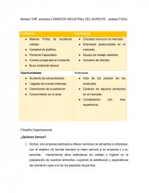 Modelo TMP, empresa COMEDOR INDUSTRIAL DEL NORESTE, analisis FODA -  Trabajos - IGuadalupe