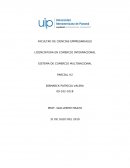 SISTEMA DE COMERCIO MULTINACIONAL PARCIAL #2