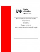 Caso práctico Liderar un equipo de trabajo