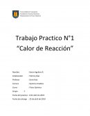 Trabajo Practico N°1 “Calor de Reacción”