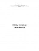 PRUEBA ESTÁNDAR DE LIXIVIACIÓN