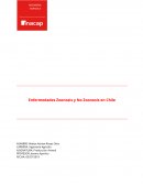 Enfermedades Zoonosis y No Zoonosis en Chile