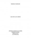 RESUMEN DATA WAREHOUSE