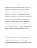 Embarazo en una época significativa