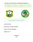 TAMIZADO DE LAS MUESTRAS DE SUELOS