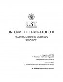 Reconocimiento de biomoleculas informe de laboratorio