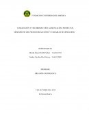 Seminario coquizacion y viscorreducción