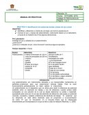 PRACTICA 5. Identificación de sustancias ácidas y bases de uso común