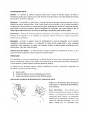 ESTABILIZACION NORMAL DE UN NEONATO