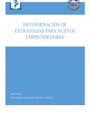 RESUMEN DE INVESTIGACION ESTRATEGIAS EMPRESARIALES