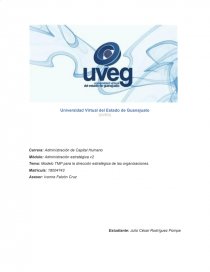 Modelo TMP para la dirección estratégica de las organizaciones - Ensayos -  Junio Rguez