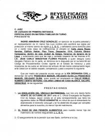 Modelo de Demanda de divorcio y alimentos Veracruz - Trabajos - Jc Ficachi