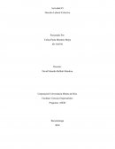 Derecho Laboral Colectivo