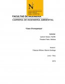 CASO CHOROPAMPA
