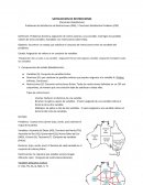 SATISFACCION DE RESTRICCIONES (Constraint Satisfaction)