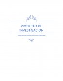 INVESTIGACIÓN SITUACIÓN BASURA VALLADOLID YUC