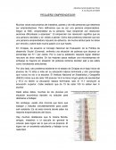 JOVEN EMPRENDEDOR
