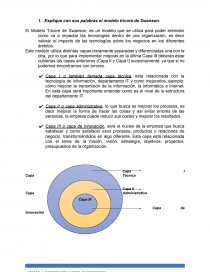 Explique con sus palabras el modelo tricore de Swanson - Trabajos - George  FMartinez