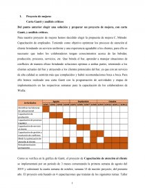 Proyecto de mejora: Carta Gantt y análisis críticos - Trabajos - Maya Sonia