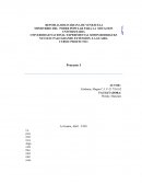 INTRODUCCIÓN PROCESAMIENTOS DE DATOS