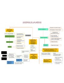 Mapa Mental Fisiología Vegetal - Tareas - 06081930