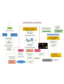 Mapa Mental Fisiología Vegetal - Tareas - 06081930