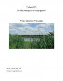 Trabajo N°1 De Metodología a la investigación Áreas Naturales Protegidas