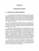 La influencia de las caricaturas en los niños