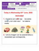 Clasificacion de los animales