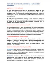 QUÉ RELACIÓN HAY ENTRE EL AND Y LA MUTACIÓN?. Página 1