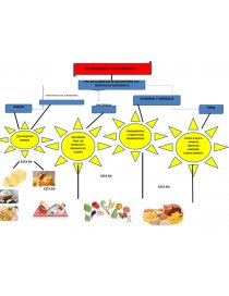 MAPA CONCEPTUAL. Los alimentos y los nutrientes - Biografías - katalina29