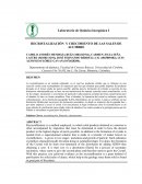 RECRISTALIZACIÓN Y CRECIMIENTO DE LAS SALES DE ALUMBRE