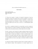 Ensayo capitalismo y diseño