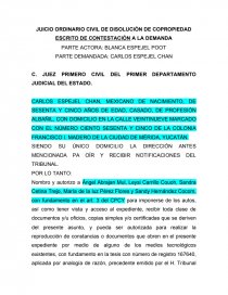 JUICIO ORDINARIO CIVIL DE DISOLUCIÓN DE COPROPIEDAD - Documentos de  Investigación - angel abrajan