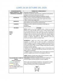 SITUACION DIDACTICA “CONDUCTAS Y CONSECUENCIAS ” - Trabajos - amandajulia