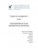 Investigacion bibliografica numero de Reynolds