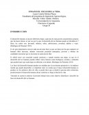 Ensayo ciclo de la vida