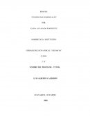 Tendencias comerciales