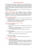 RESUMEN: FORMULACIÓN DEL PIP