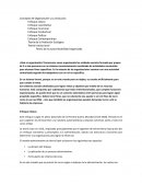 Teoría de la autocriticabilidad organizada