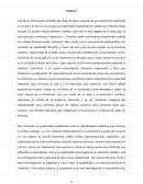 Sin sentido de la modernidad