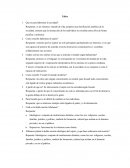 Taller - Sociedad