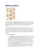 Pasos del método científico