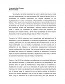 La proactividad- Ensayo