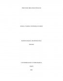 CARBONES QUINTANA ALVARADO S.A.S