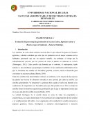 Diametros y alturas de especies forestales