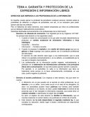 GARANTÍA Y PROTECCIÓN DE LA EXPRESIÓN E INFORMACIÓN LIBRES